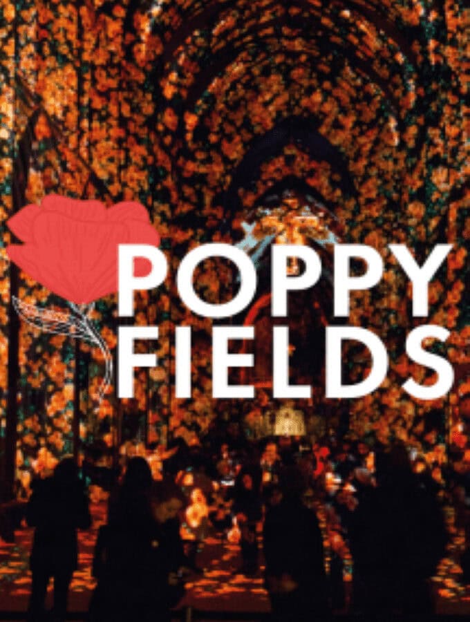 poppy_field_main1__352__P)