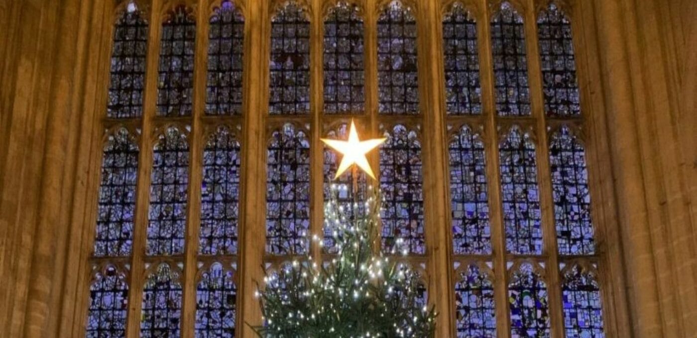 Winchester-Christmas-Tree-Brittens-L