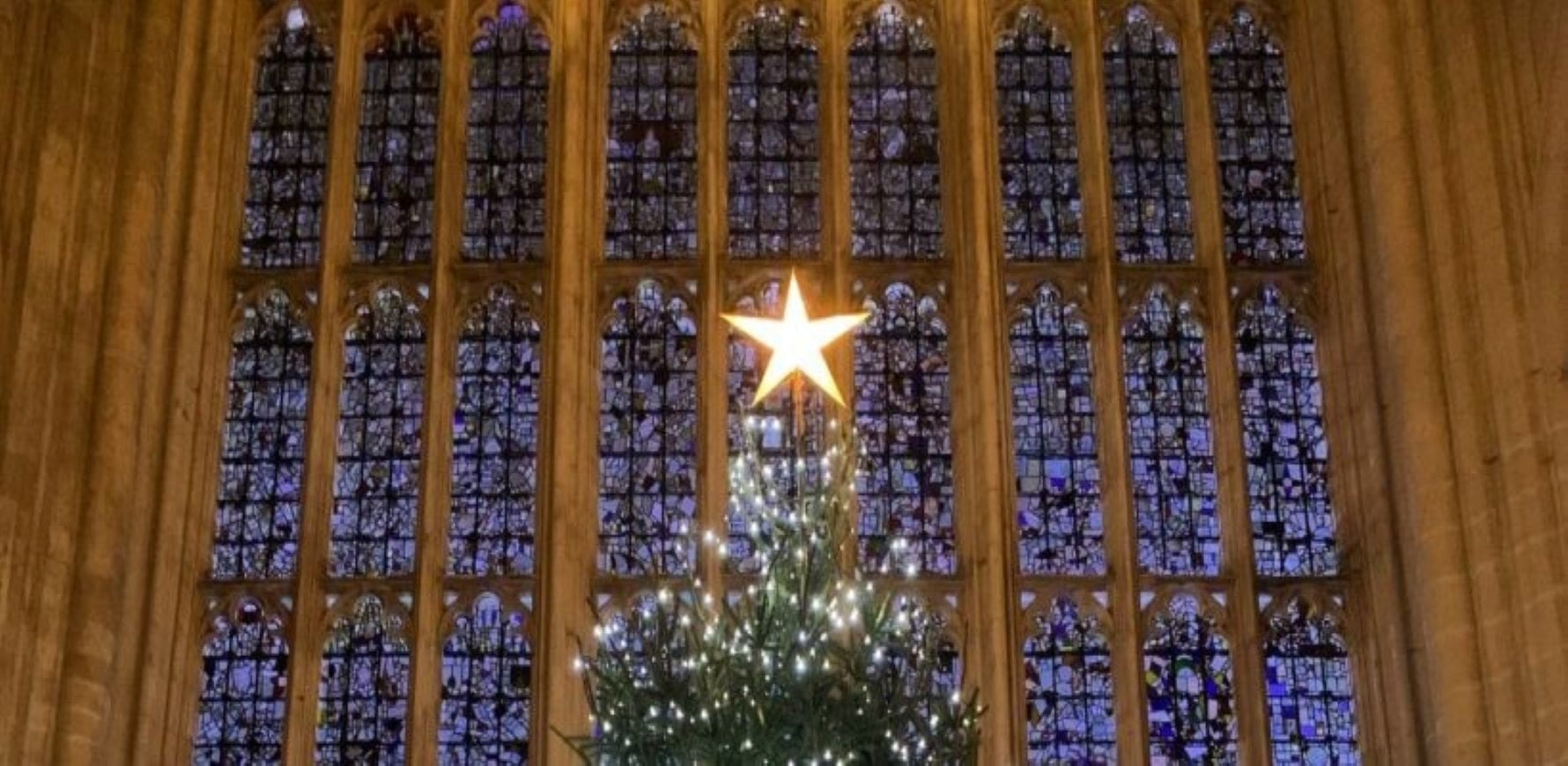 Winchester-Christmas-Tree-Brittens-L