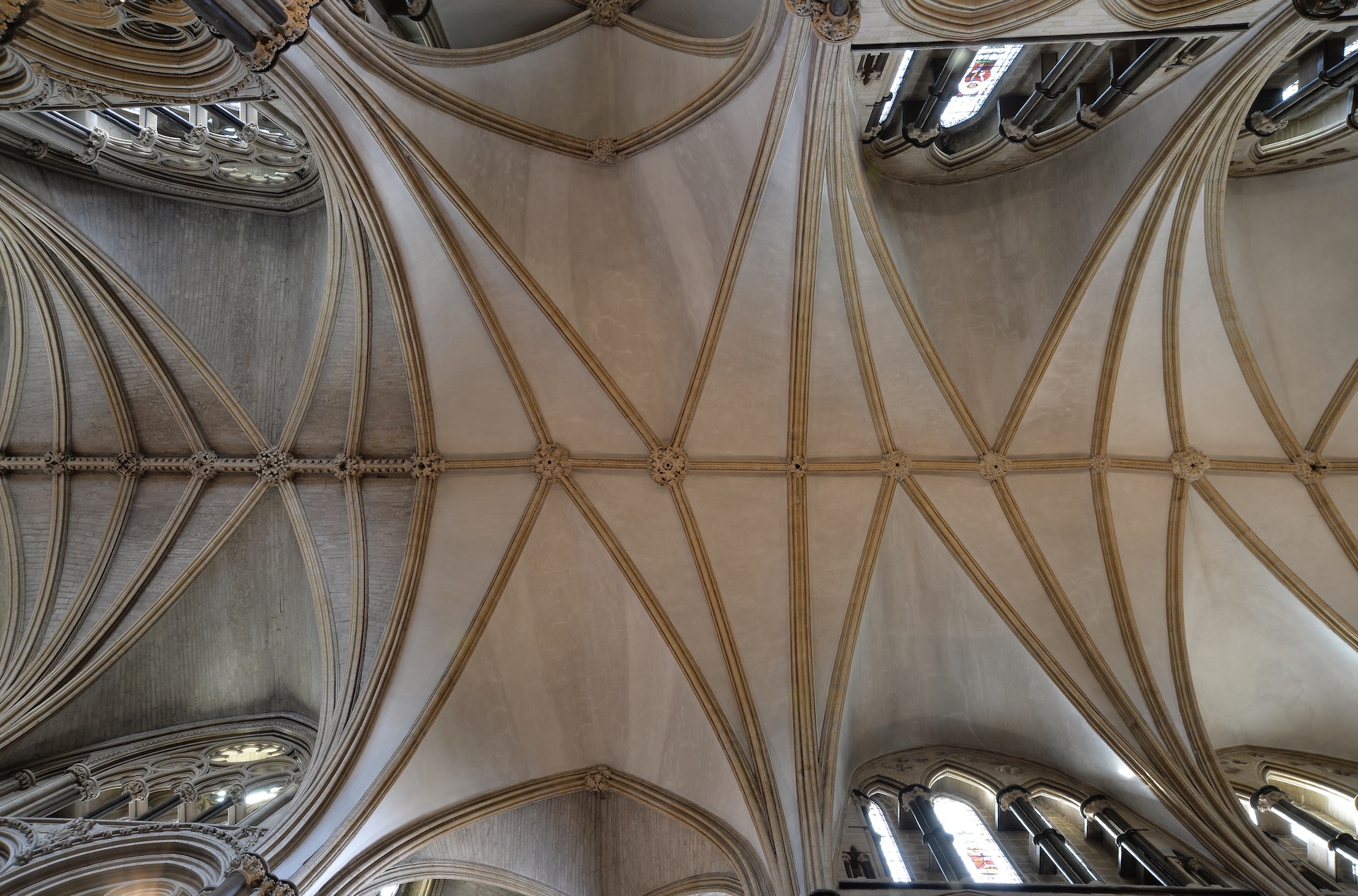 Lincoln Cathedral Ceiling - Always Look Up