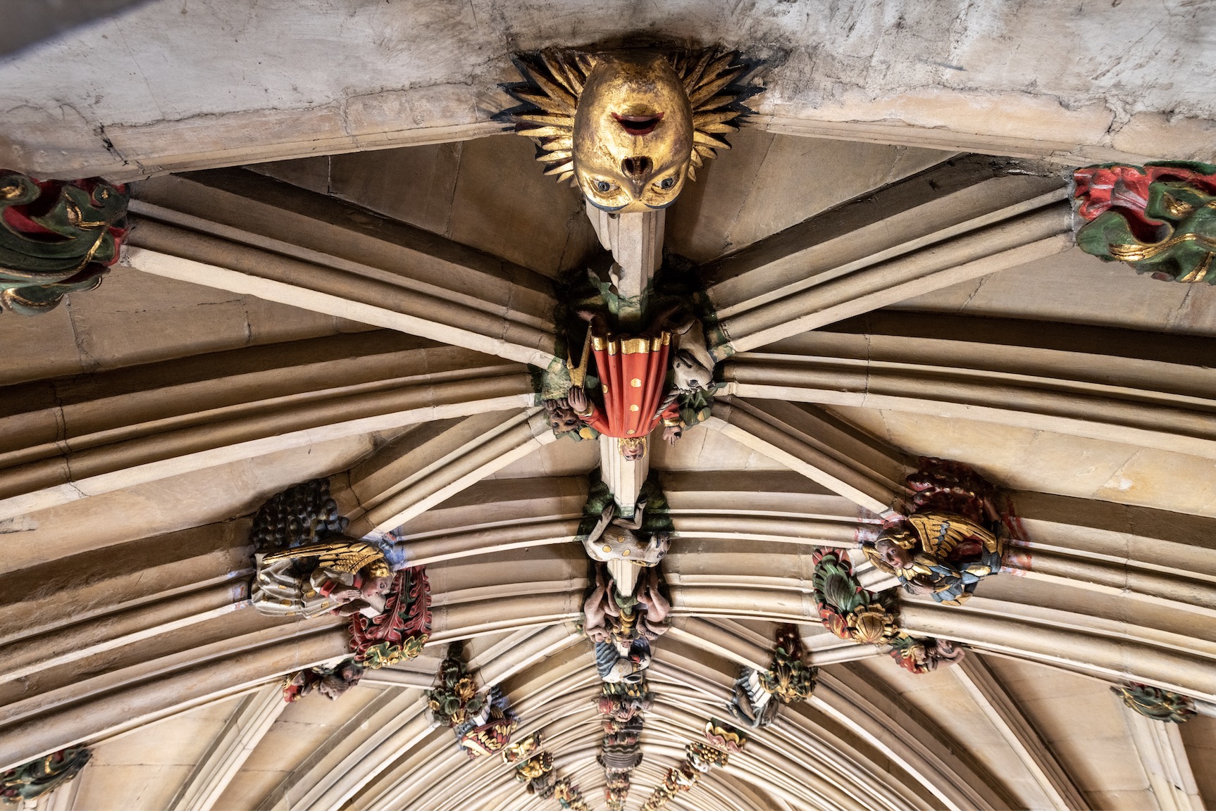 Norwich Cathedral Ceilings - Always Look Up