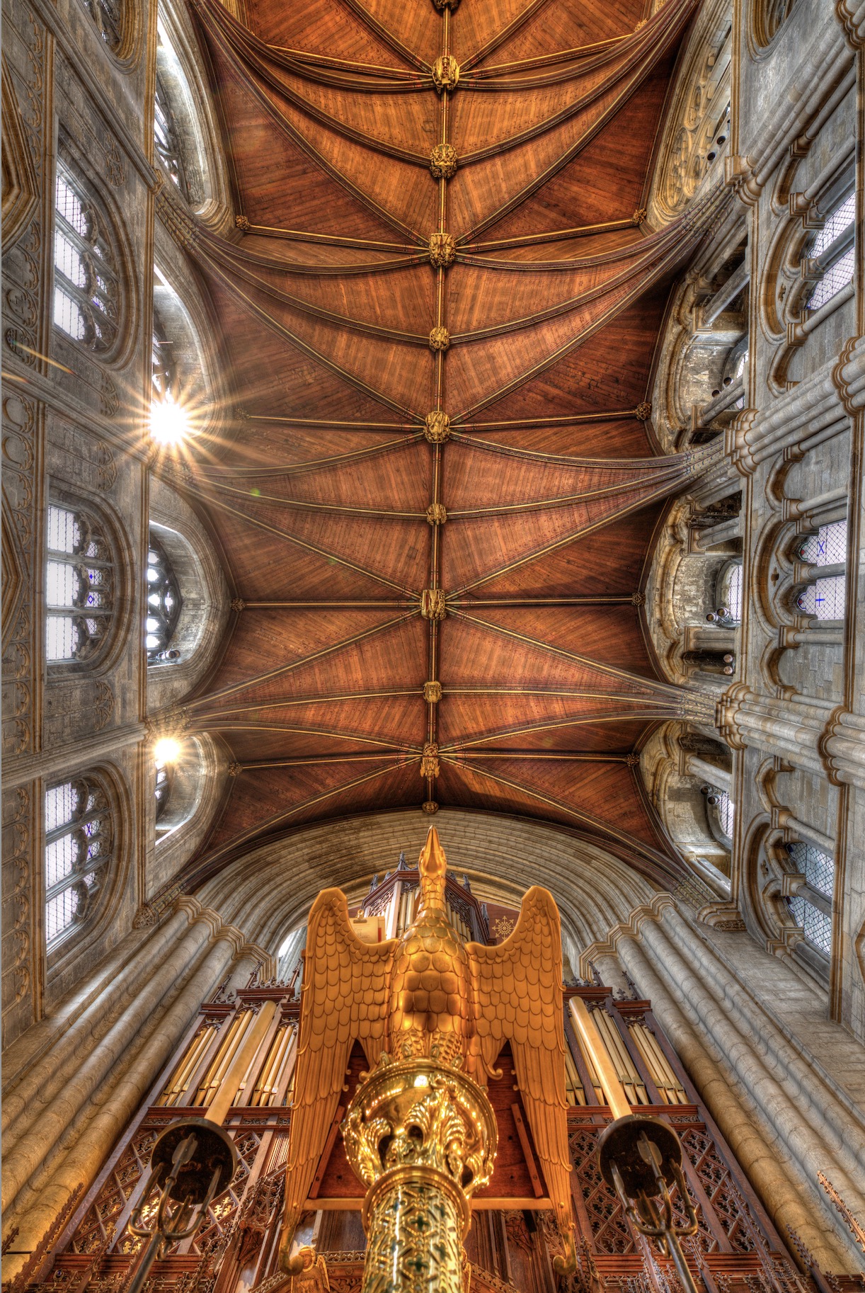 Ripon Cathedral Ceilings - Always Look Up