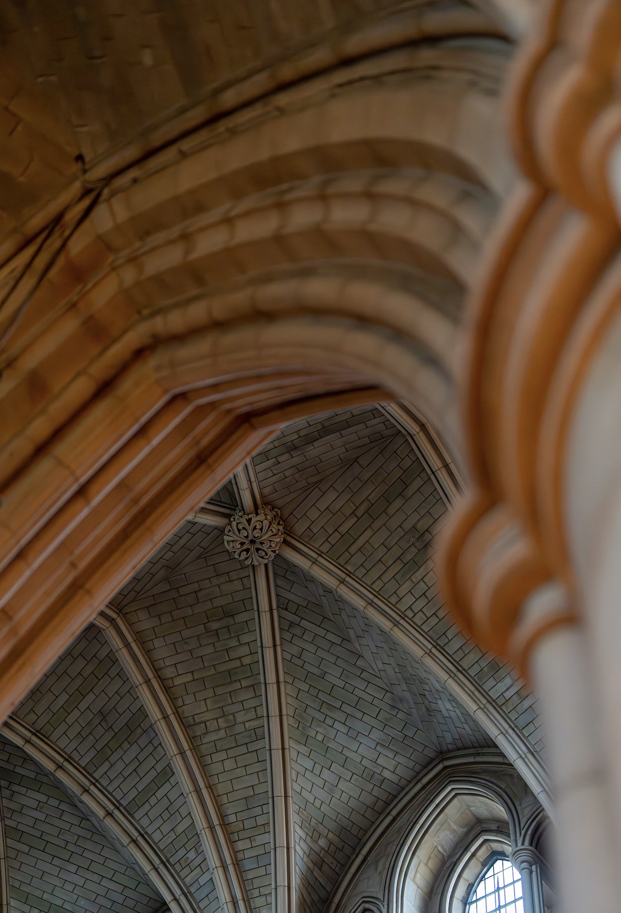 Southwark Cathedral Ceilings - Always Look Up