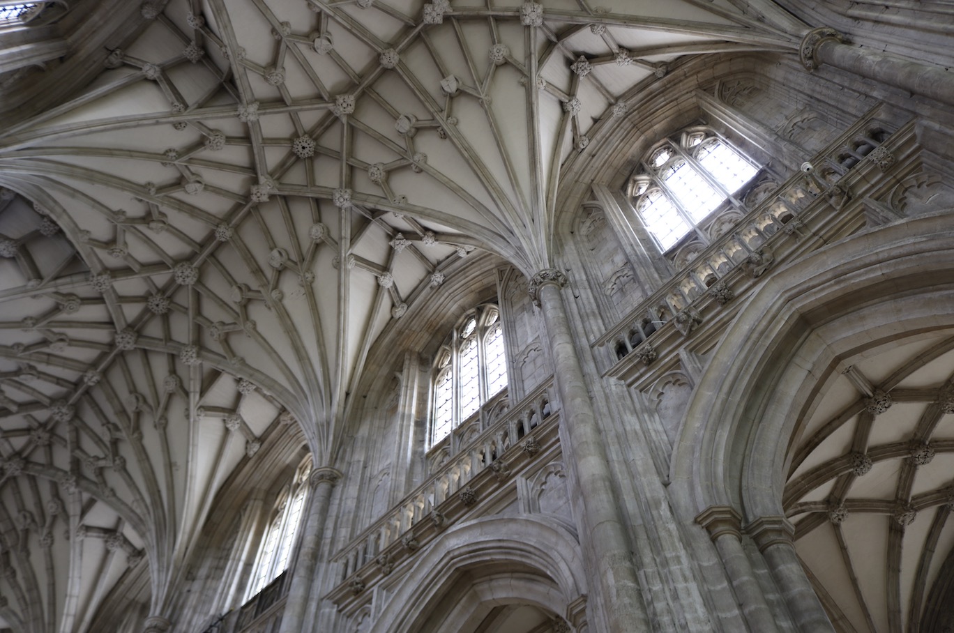 Winchester Cathedral Ceiling - Always Look Up