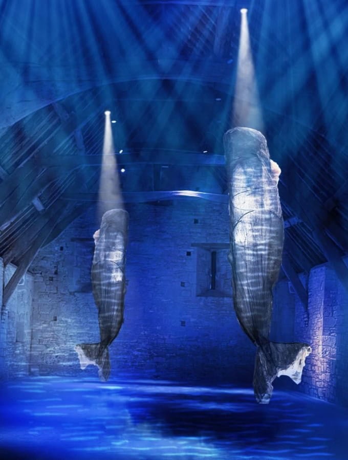 Winchester - Whales: art installation celebrated through a series