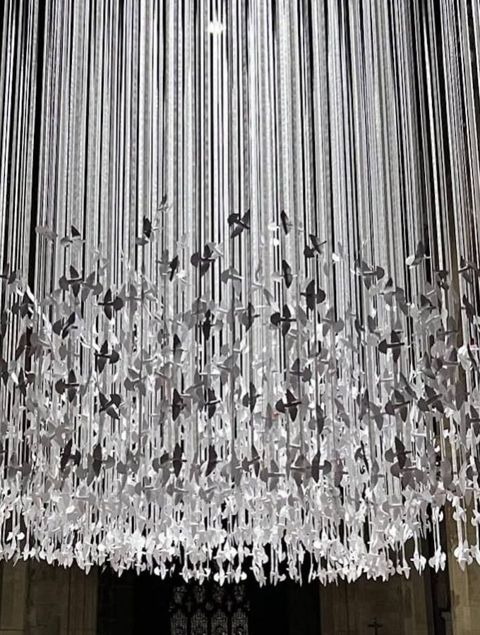 PeaceDoves.Chester.2025