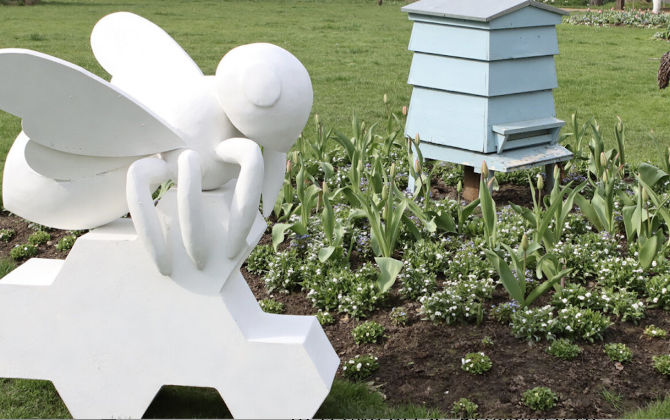 Buzz in the city with Chelmsford Cathedral