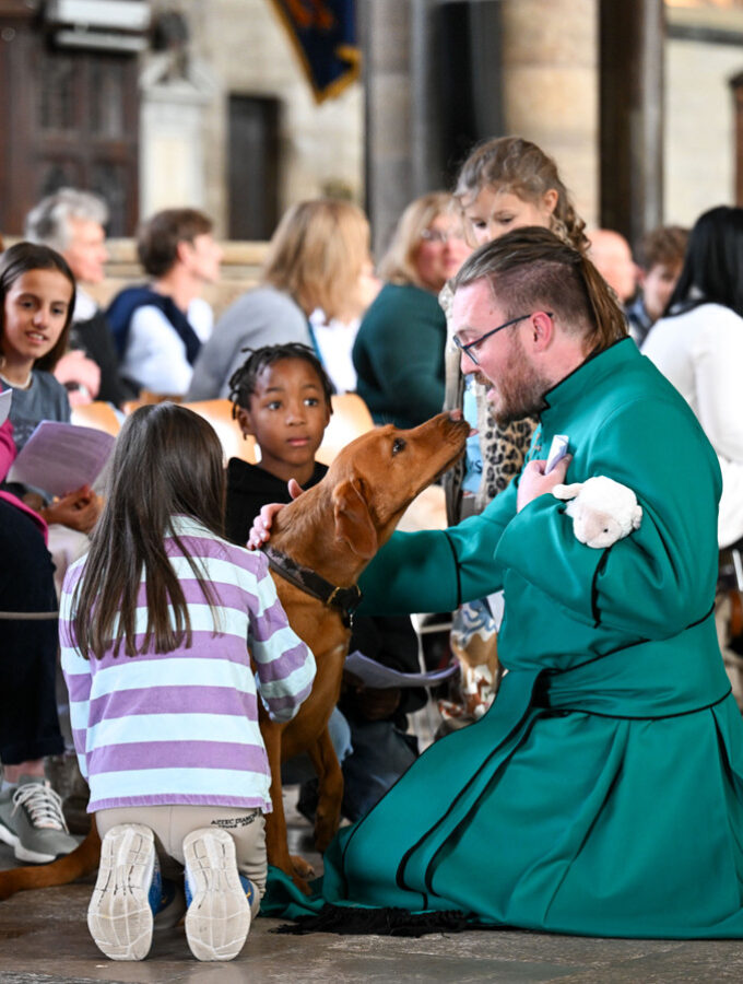 Salisbury.AllCreaturesGreatandSmall