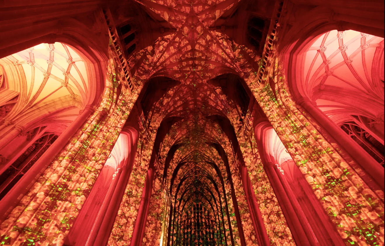 Gloucester Cathedral - Poppy Fields 17 October until Saturday 25 October 2025