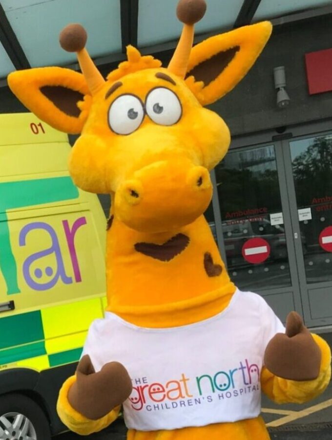 Fudge the Giraffe - 1