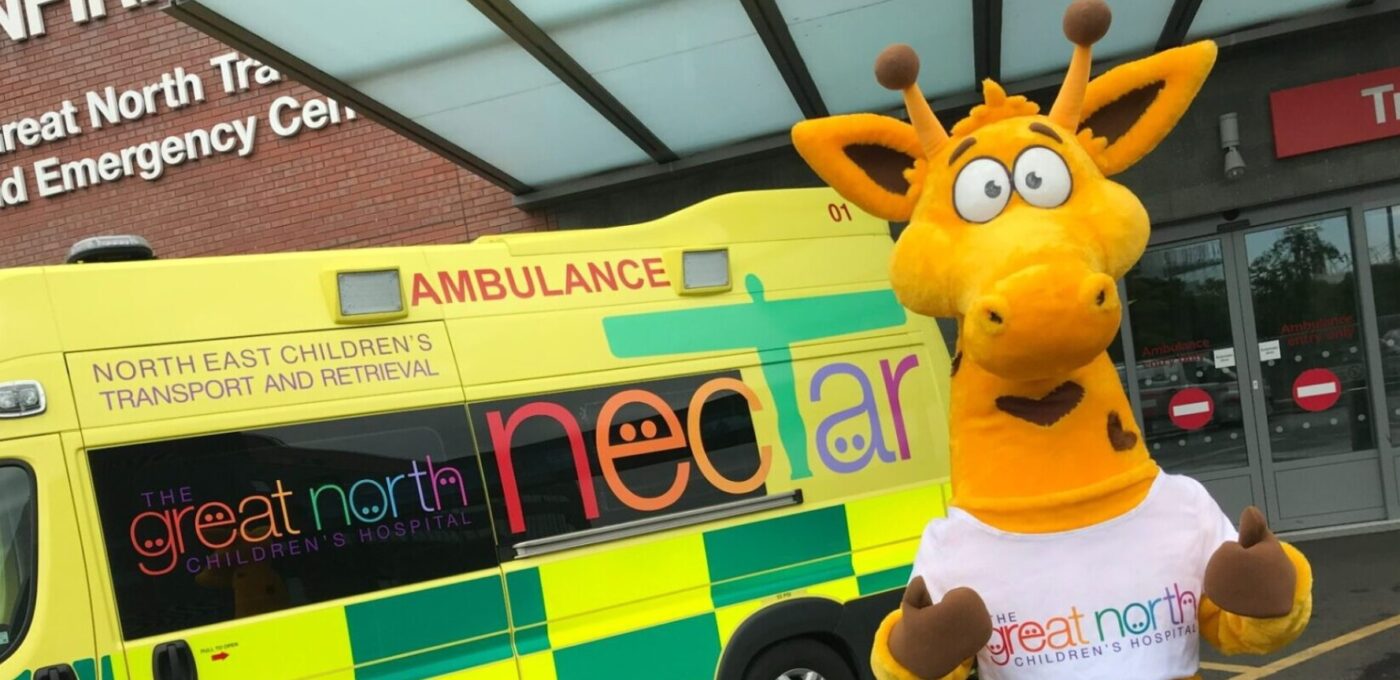 Fudge the Giraffe - 1