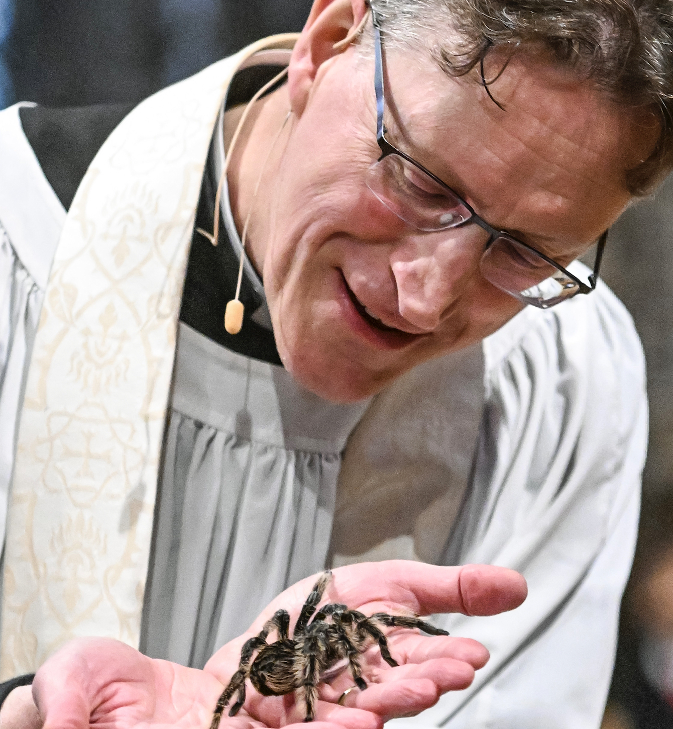 Celebrating All Creatures Great and Small at Ely