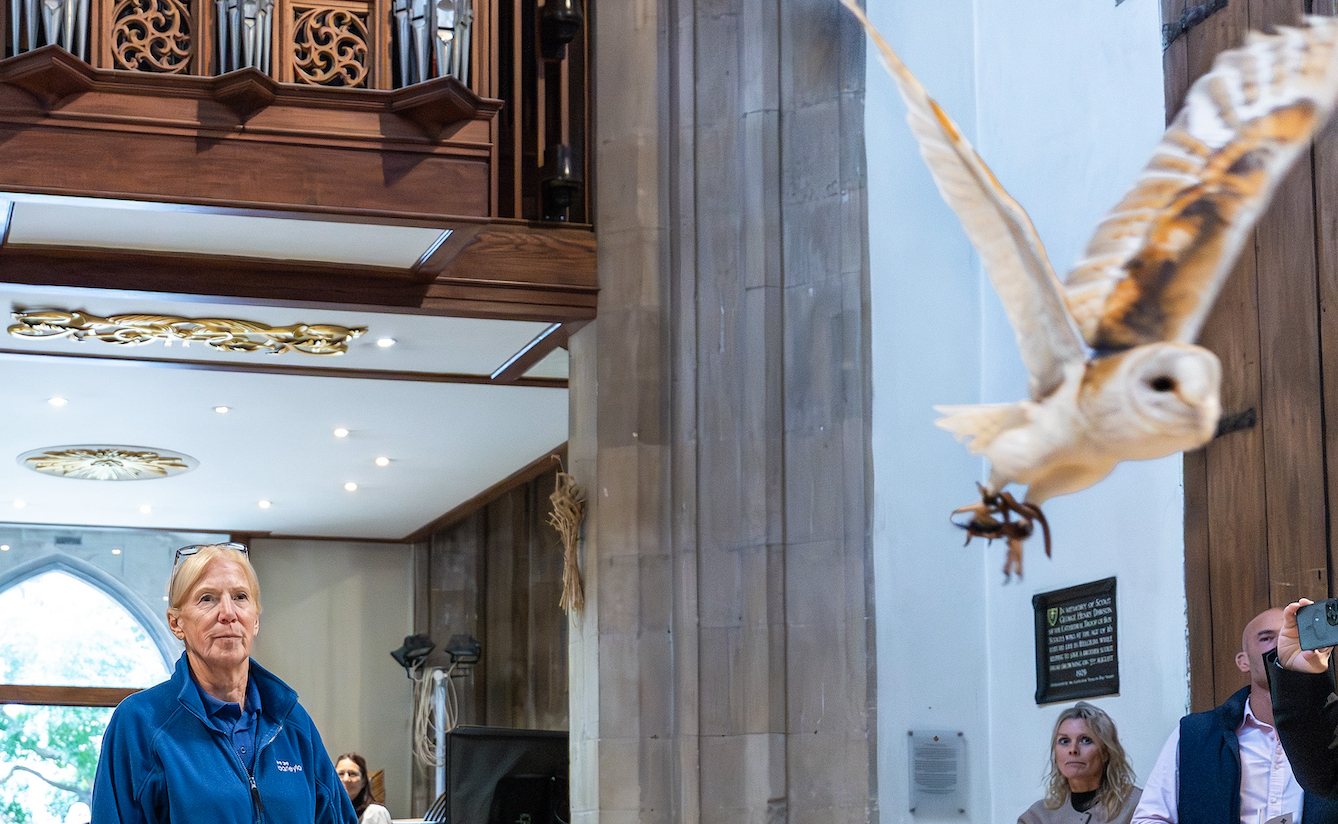 Harvest Festival - Chelmsford Cathedral
