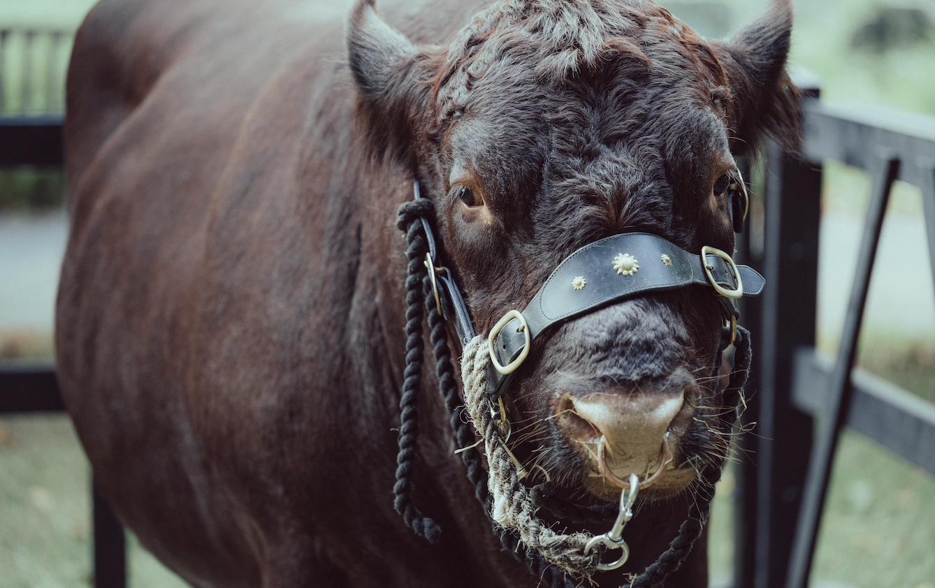 Harvest Festival 2025 - St Edmundsbury Cathedral