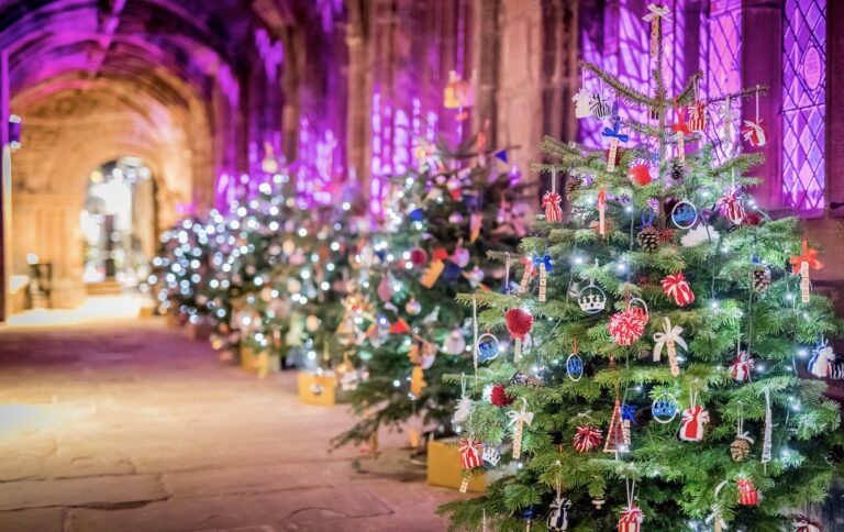 image from Cathedral Christmas Tree Festivals