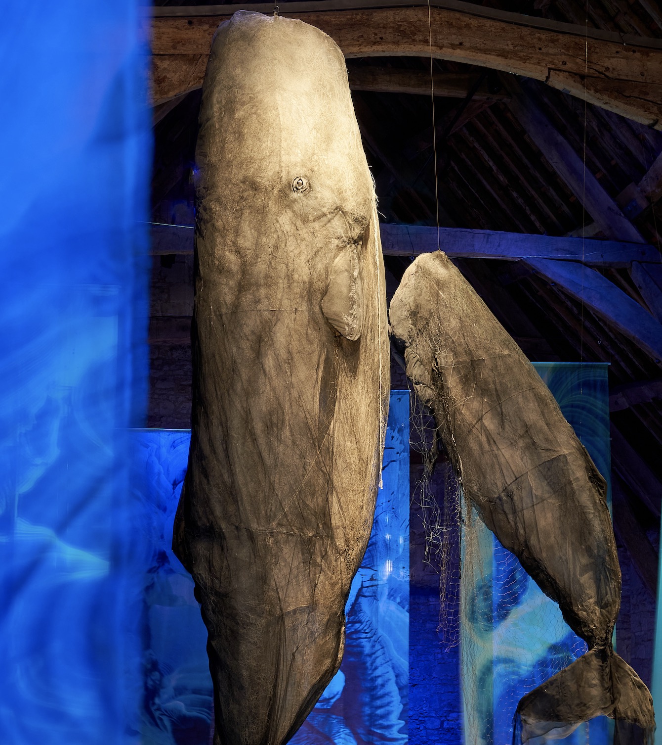 Whales. At Rochester Cathedral this February.