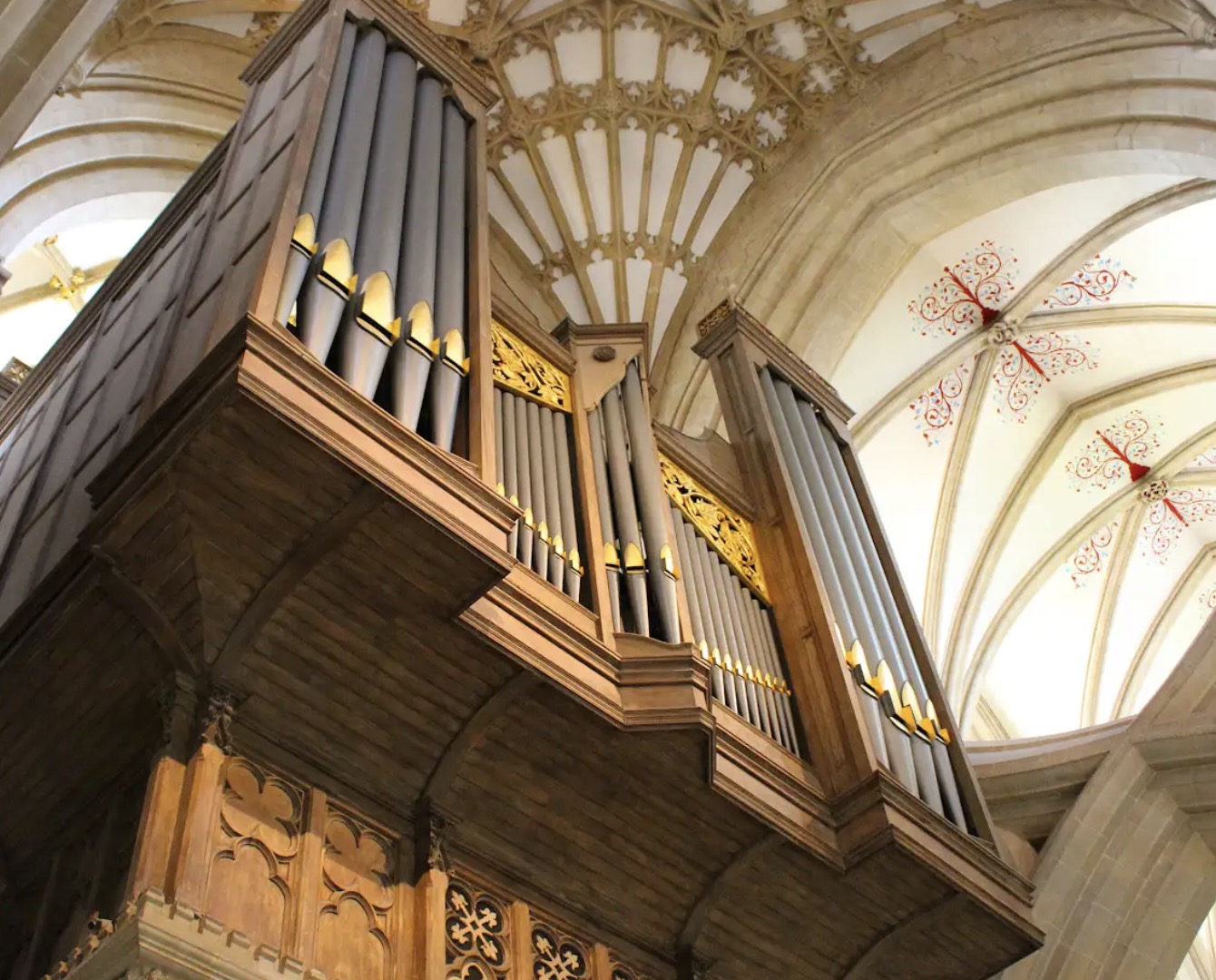 Work to save Wells Cathedral’s Grand Organ to start in January
