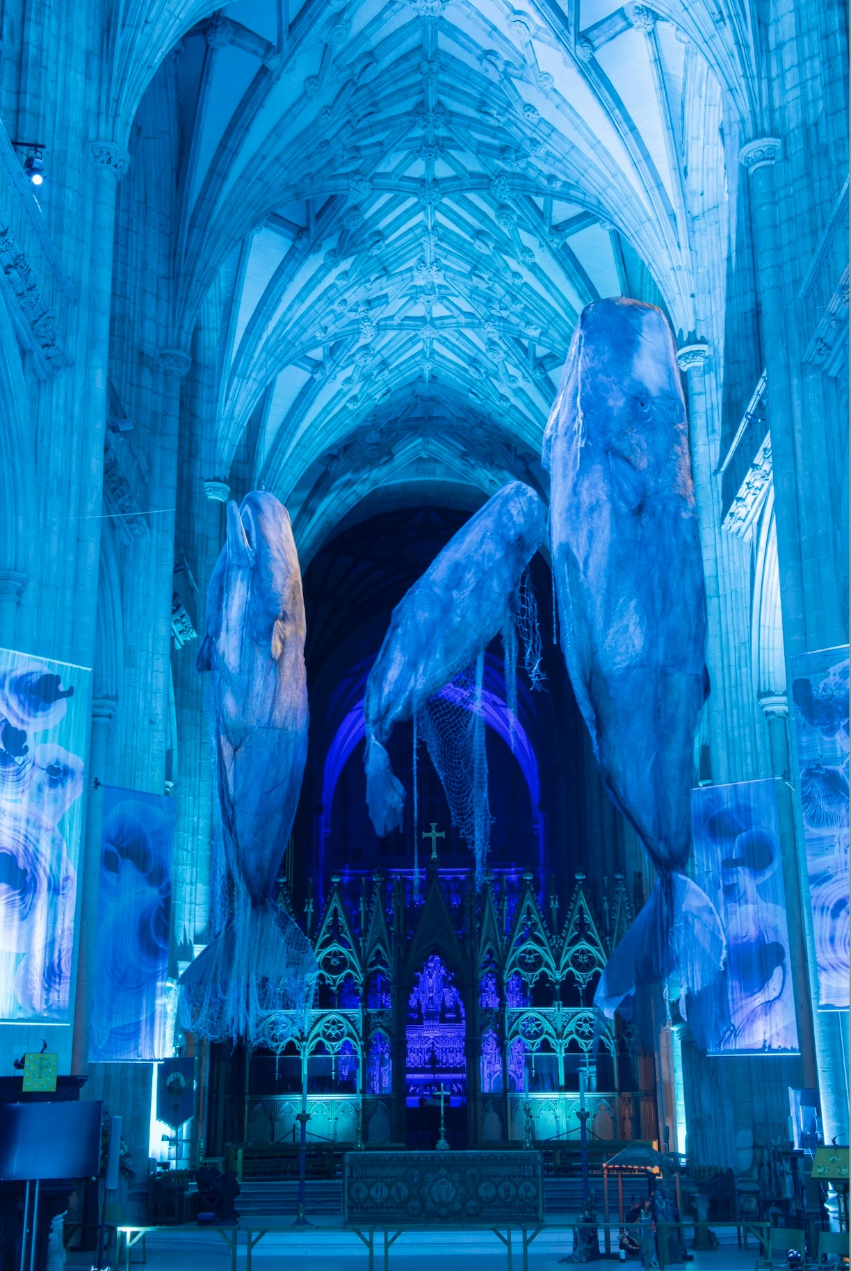 Whales shorlisted for a second prestigious prize - now at St Albans and coming to Rochester