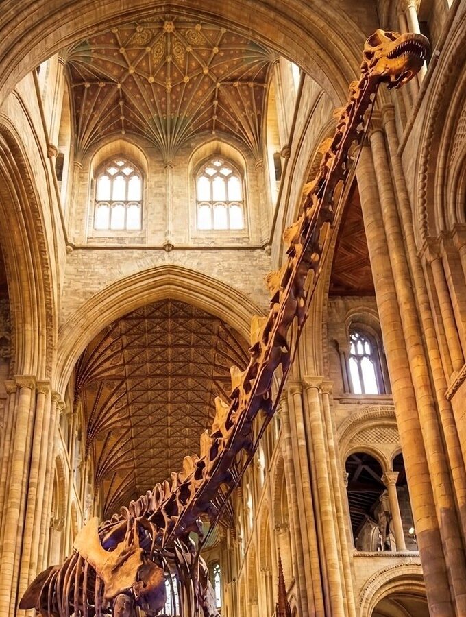 Dinosaur.Peterborough