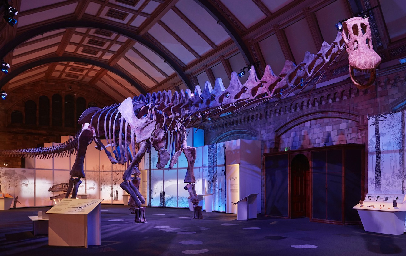 The largest dinosaur on earth comes to Peterborough Cathedral - Patagotitan mayorum