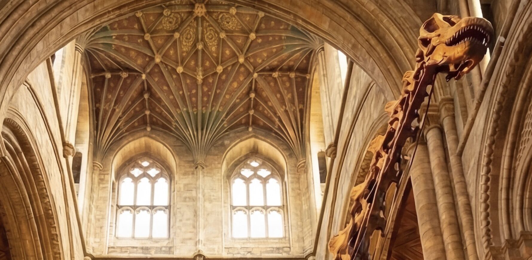 The largest dinosaur on earth comes to Peterborough Cathedral - Patagotitan mayorum