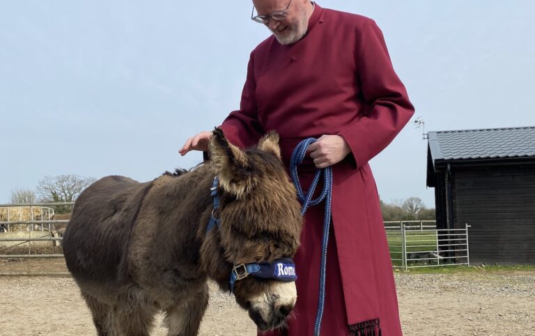 image from Palm Sunday at Winchester Cathedral