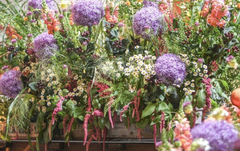 Chichester is blooming - 30th anniversary of Chichester Cathedral's Festival of Flowers