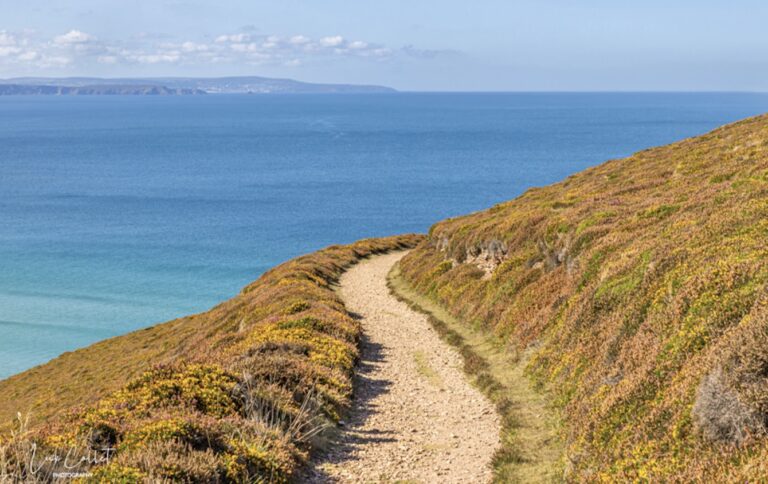 Truro Cathedral hosts exhibition celebrating the Cornish Celtic Way
