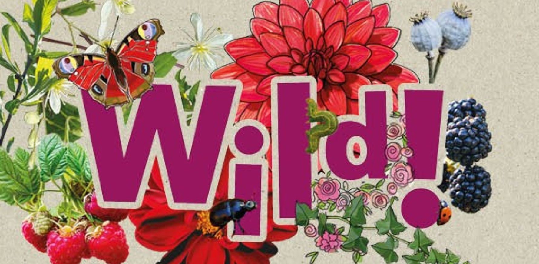Wild-Flower-Festival-2026_L