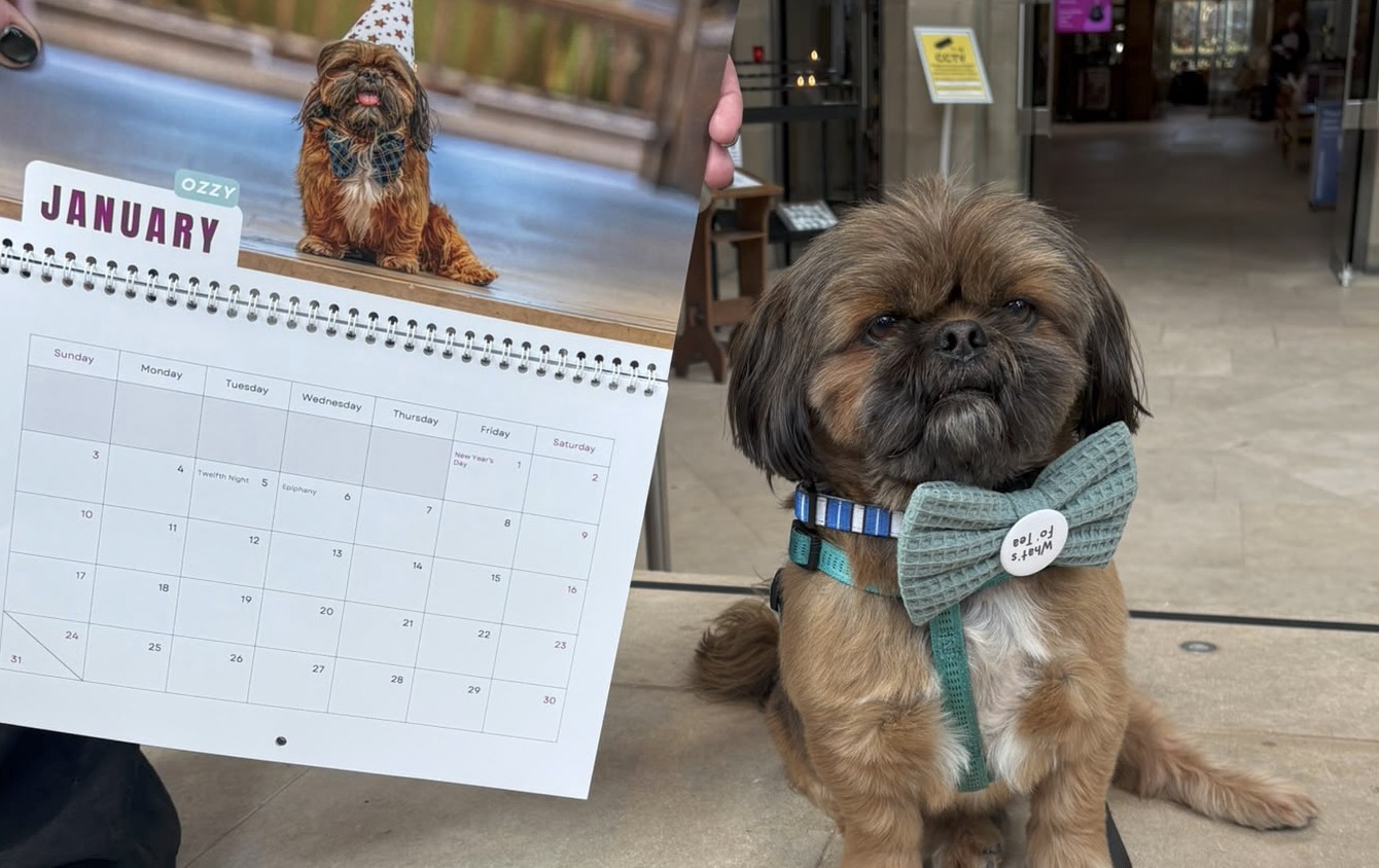 St Edmundsbury Cathedral and Sheffield Cathedral Launch 2027 Dog Calendars