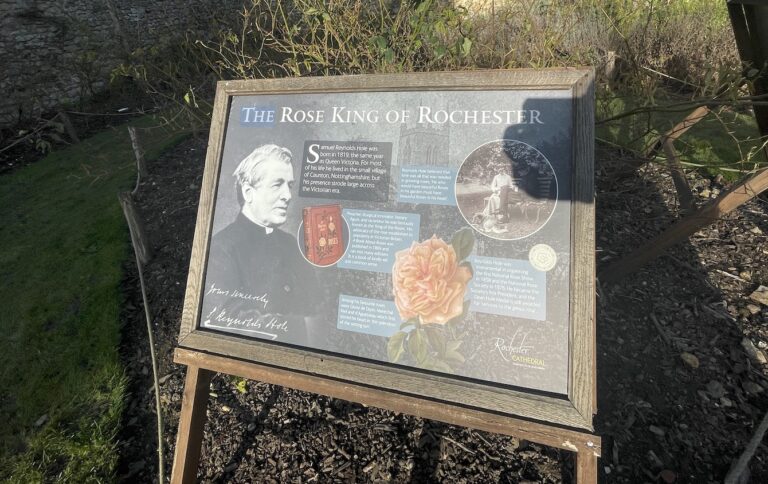 Rochester Cathedral has appointed two new wellbeing posts, a Garden Wellbeing Coordinator and a Music Wellbeing Coordinator, to work side by side in supporting the health and wellbeing of the communities it serves.