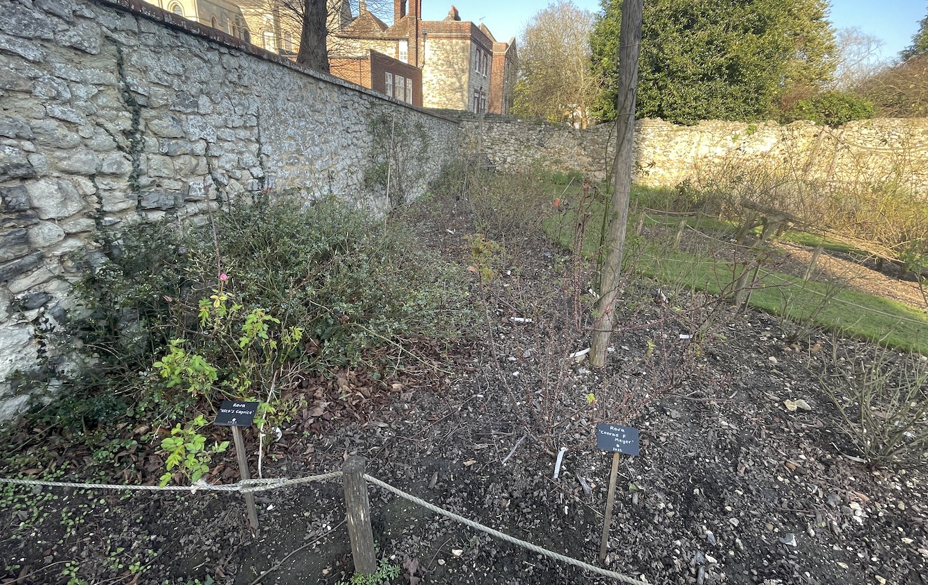 Rochester Cathedral has appointed two new wellbeing posts, a Garden Wellbeing Coordinator and a Music Wellbeing Coordinator, to work side by side in supporting the health and wellbeing of the communities it serves. 